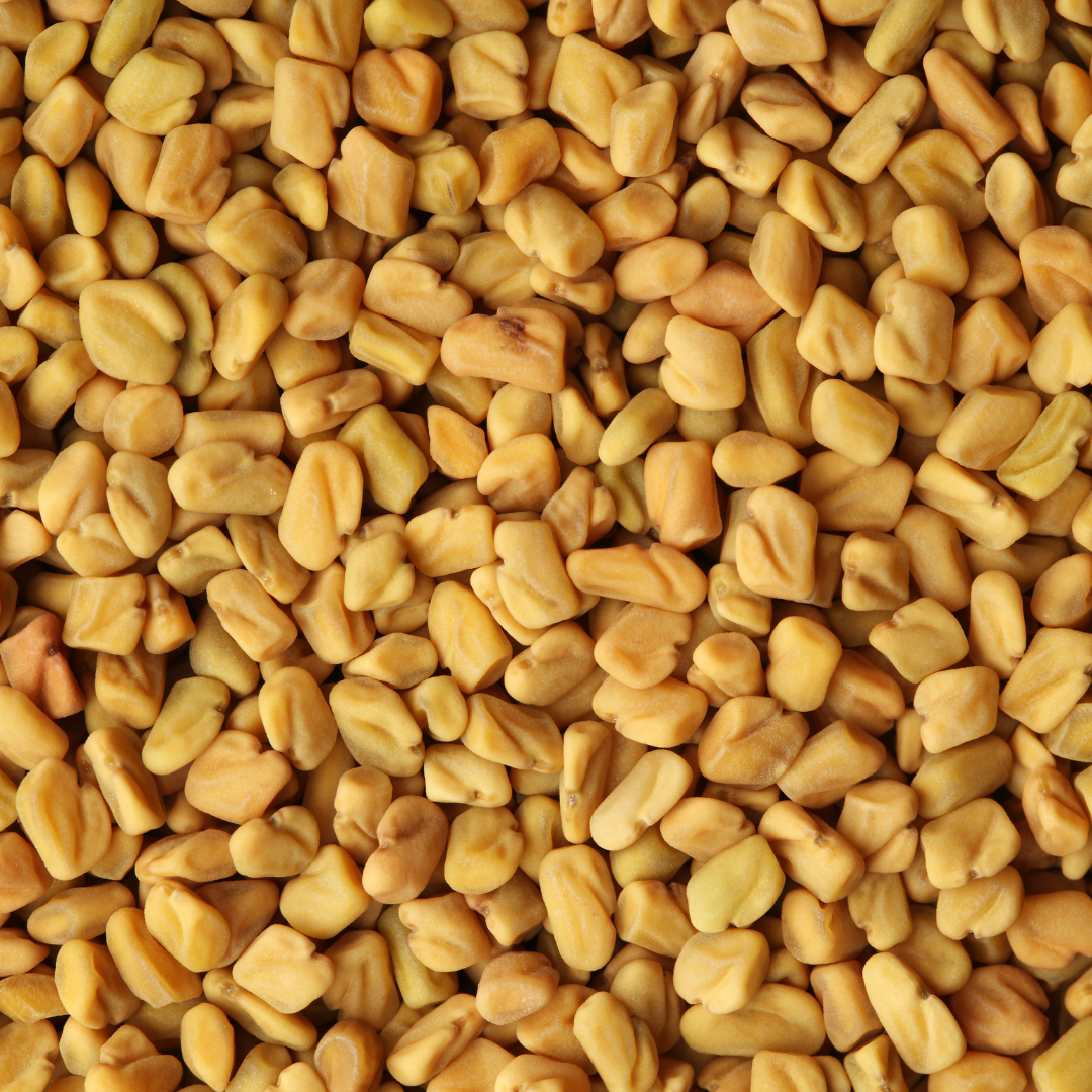 Fenugreek Seeds – Hormone Balance & Digestion